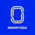 Binaryveda Logotype