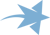 Blue Star Design Logotype