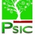 Psic Consultores Logotype