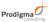 Prodigma Solutions Logotype