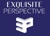 Exquisite Perspective Logotype