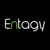 Entagy Internet Solutions Ltd Logotype