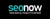 SEO NOW Logotype