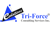 Tri-Force Consulting Services Logotype
