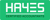 Hayes Accountants London Logotype