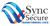 Sync & Secure-Top smart geyser in Pakistan Logotype