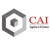 CognoticAI LLC Logotype