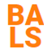 Bay Area Land Surveying Inc Logotype