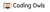 Coding Owls innovations LLP Logotype
