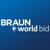 Braun Logotype
