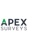 Apex Surveys Logotype