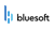 BlueSoft Sp. z o.o. Logotype