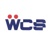 Workgroup Computer Solutions Logotype