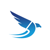 Design Hawk Logotype