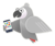 The Grey Parrots Logotype