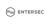 Entersec Logotype