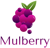 Mulberry Solutions Logotype