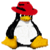 Pinguis Web Logotype