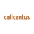 Calicantus Logotype