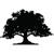 Copper Shade Strategy, LLC Logotype