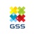 GSS 'Generate Software Solution' Logotype