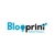 Blooprint Consulting Logotype