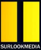 SURLOOKMEDIA Logotype
