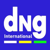 Develop N Grow International Logotype