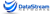 DataStream Networks Inc. Logotype