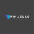 Pináculo Performance Online Logotype