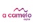 ACamelo Digital Logotype