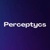 Perceptycs Logotype