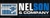 Nelson & Company CPA’s Logotype