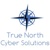 True North Cyber Solutions Logotype