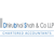 Dhirubhai Shah & Co LLP Logotype