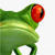 Cyberfrog Design Ltd Logotype
