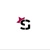 Starrlites Group Logotype