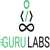 TwelveFifth, Inc. DBA Gurulabs, Inc Logotype