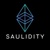 Saulidity Logotype