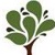 Abraham Paiss & Associates, Inc. Logotype