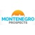 Montenegro Prospects Logotype