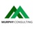 Murphy Consulting LLC Logotype