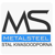 Metal Steel Polska Logotype