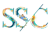 SSC Digital Logotype