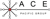 ACE Asia Pacific Services Pte. Ltd. Logotype