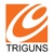 Triguns Logotype