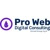 Pro Web Consulting Logotype