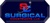 Surgical Constructs, LLC Logotype
