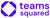 Teams Squared Logotype