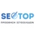 Seo Top Logotype